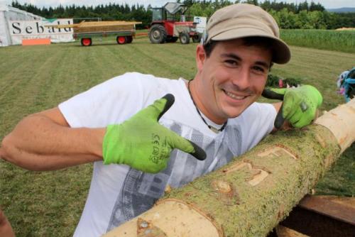 31 (1) (1) (1) (1) (1) (1) (1) (1) (1) (1) (1) (1) (1)