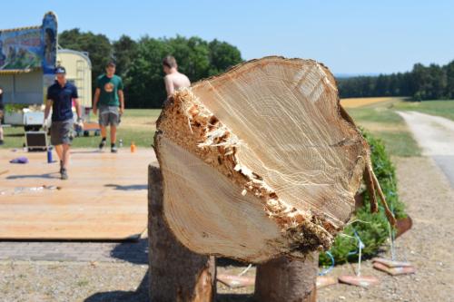 36 (1) (1) (1) (1) (1) (1) (1) (1) (1) (1) (1) (1) (1) (1) (1) (1) (1) (1) (1) (1) (1) (1) (1) (1) (1) (1) (1) (1) (1) (1) (1) (1) (1) (1) (1) (1) (1) (1) (1) (1)