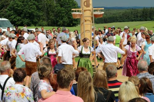 40 (1) (1) (1) (1) (1) (1) (1) (1) (1) (1) (1) (1) (1) (1) (1) (1) (1) (1) (1) (1) (1) (1) (1) (1) (1) (1) (1) (1) (1) (1)