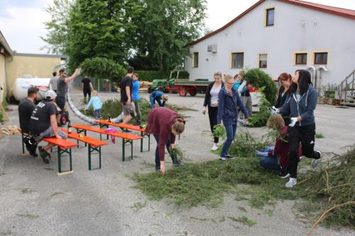 41 (1) (1) (1) (1) (1) (1) (1) (1) (1) (1) (1) (1) (1) (1) (1) (1) (1) (1) (1) (1) (1) (1) (1) (1) (1) (1) (1) (1) (1) (1)