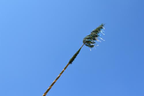 45 (1) (1) (1) (1) (1) (1) (1) (1) (1) (1) (1) (1) (1) (1) (1) (1) (1) (1) (1) (1) (1) (1) (1) (1) (1)