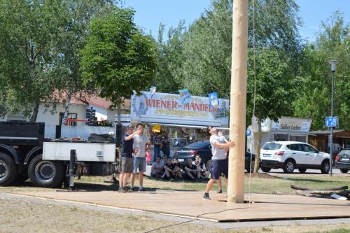 46 (1) (1) (1) (1) (1) (1) (1) (1) (1) (1) (1) (1) (1) (1) (1) (1) (1) (1) (1) (1) (1) (1) (1) (1) (1)