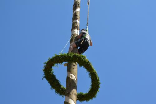 49 (1) (1) (1) (1) (1) (1) (1) (1) (1) (1) (1) (1) (1) (1) (1) (1) (1) (1) (1) (1)